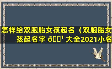 怎样给双胞胎女孩起名（双胞胎女孩起名字 🌹 大全2021小名）